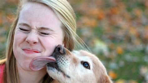 Dog licks womans wet cunt until the point when she comes